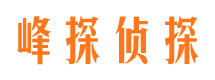 绩溪市调查公司